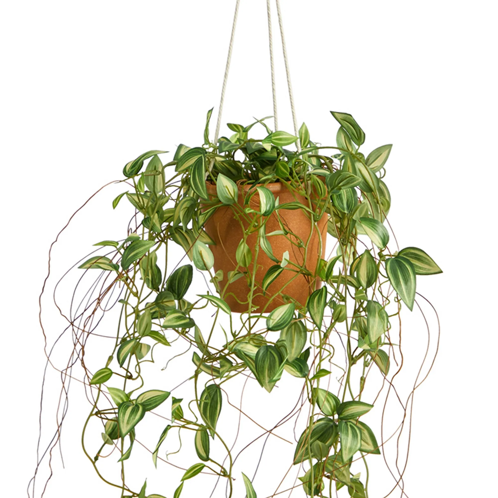 24” Pothos Artificial Plant in Hanging Planter