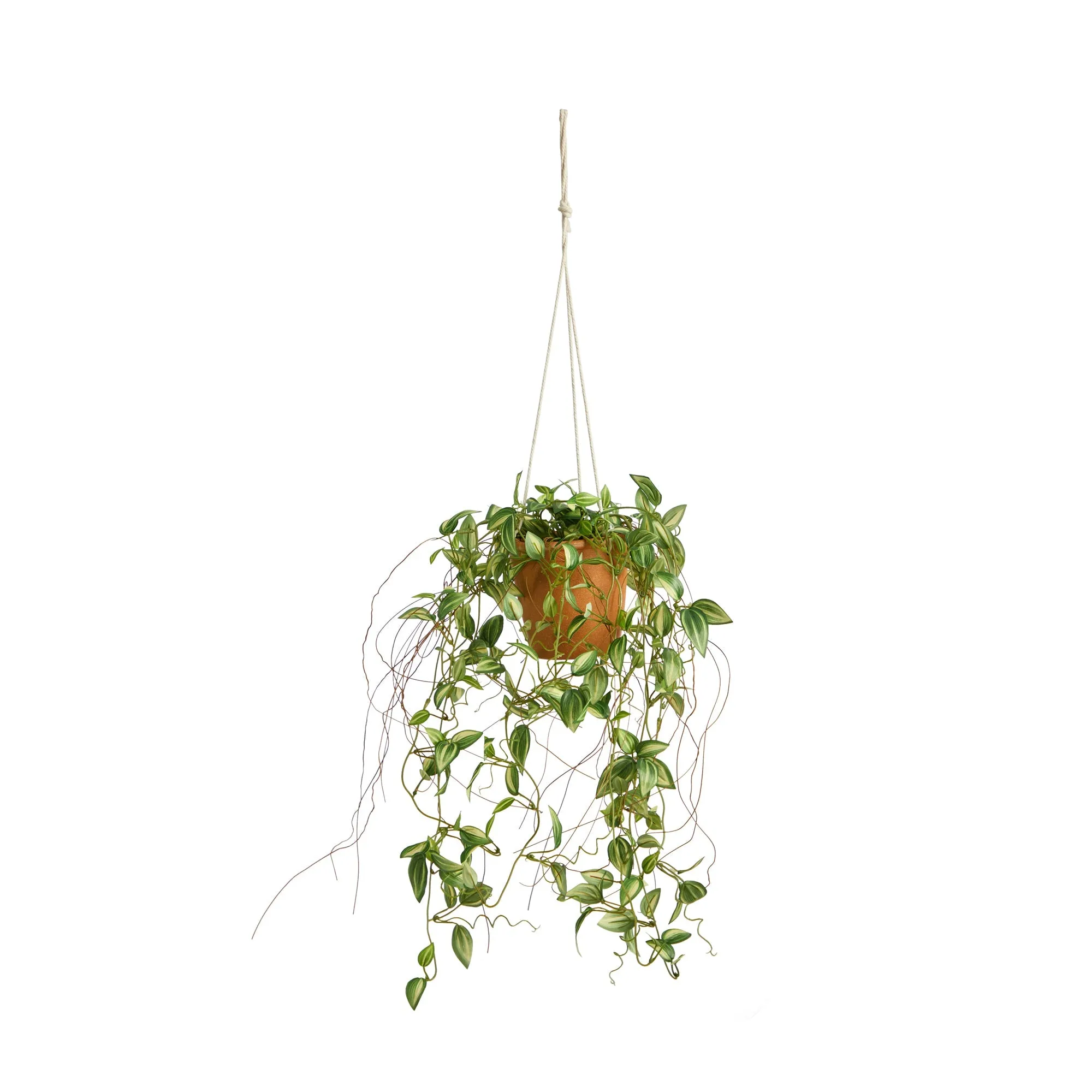 24” Pothos Artificial Plant in Hanging Planter