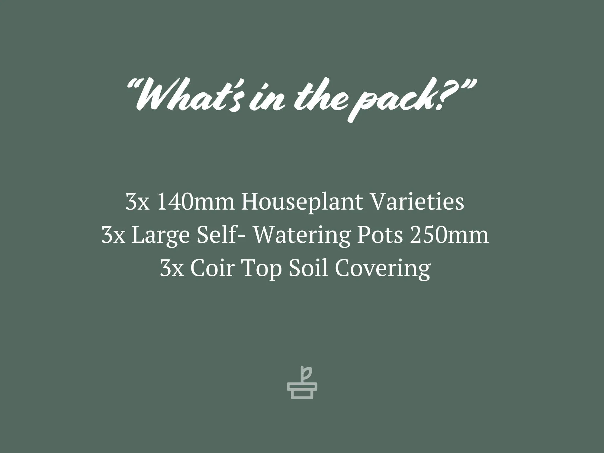 3 Plants & 3 Self-Watering Pot Set 250mm Fog - XLarge