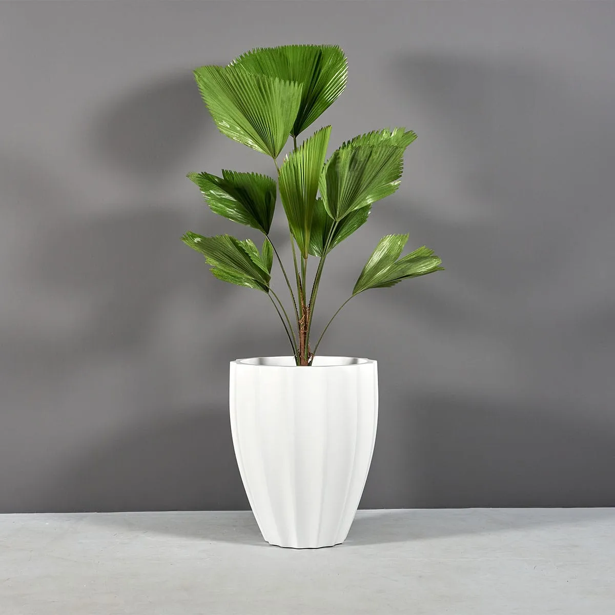 Alicante Fluted Round Planter