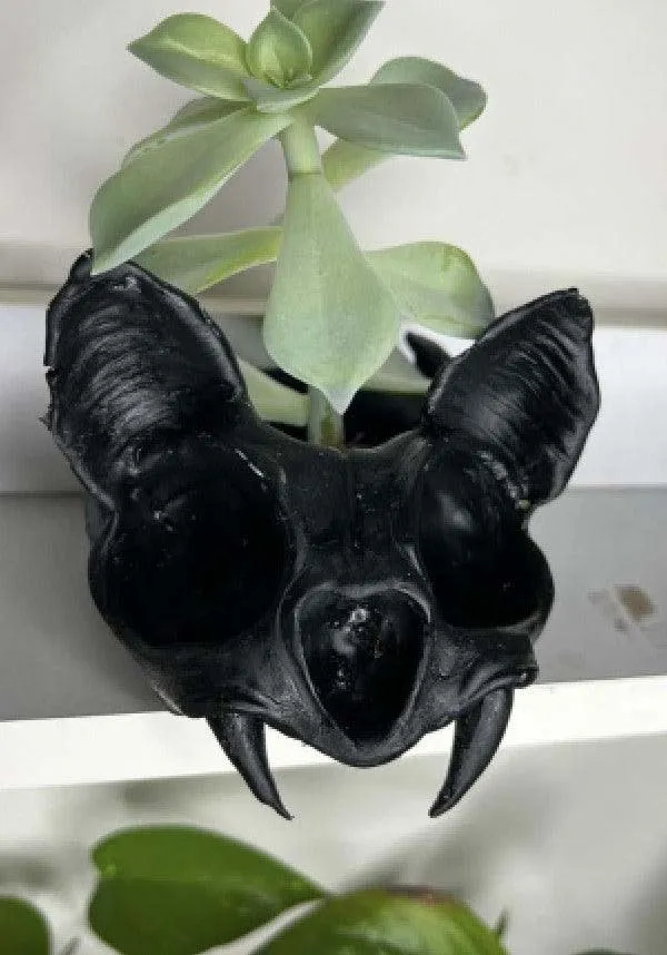 Bat [Black] | PLANTERS