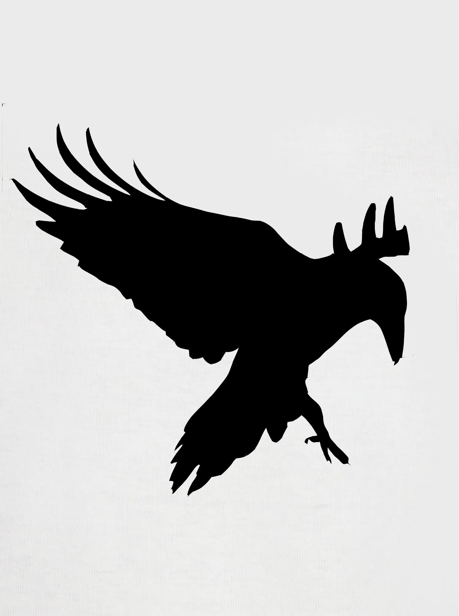 Black Raven T-Shirt