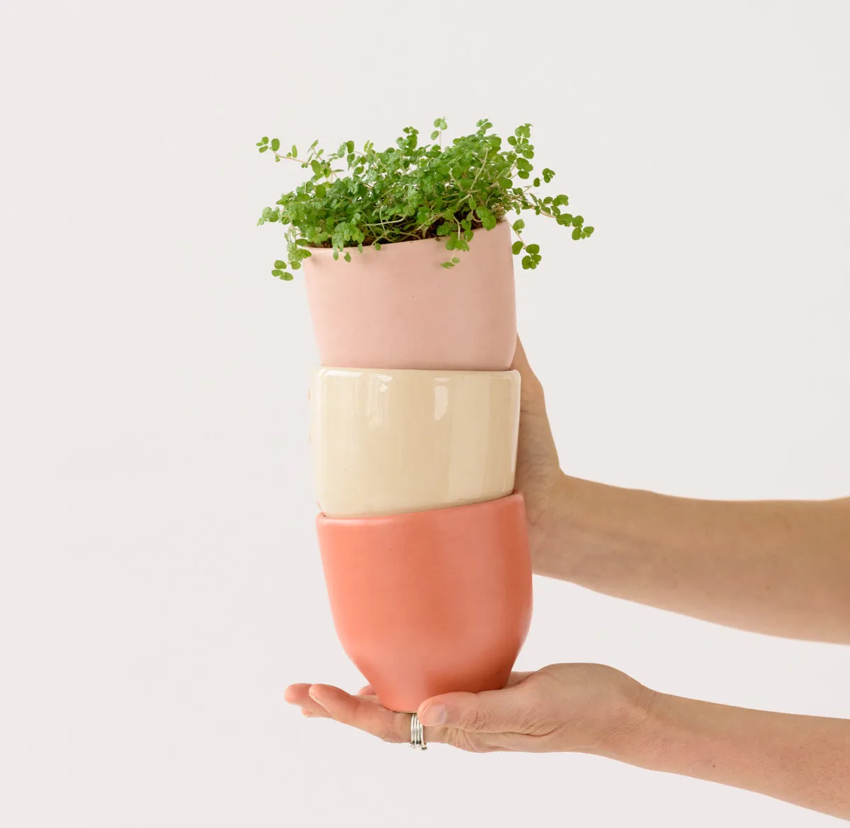 Calandiva Planter - Pinks