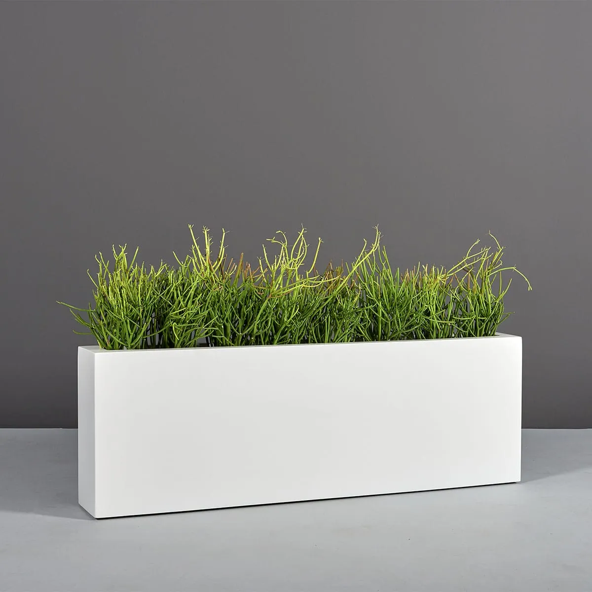 Camoux Narrow Rectangular Planter