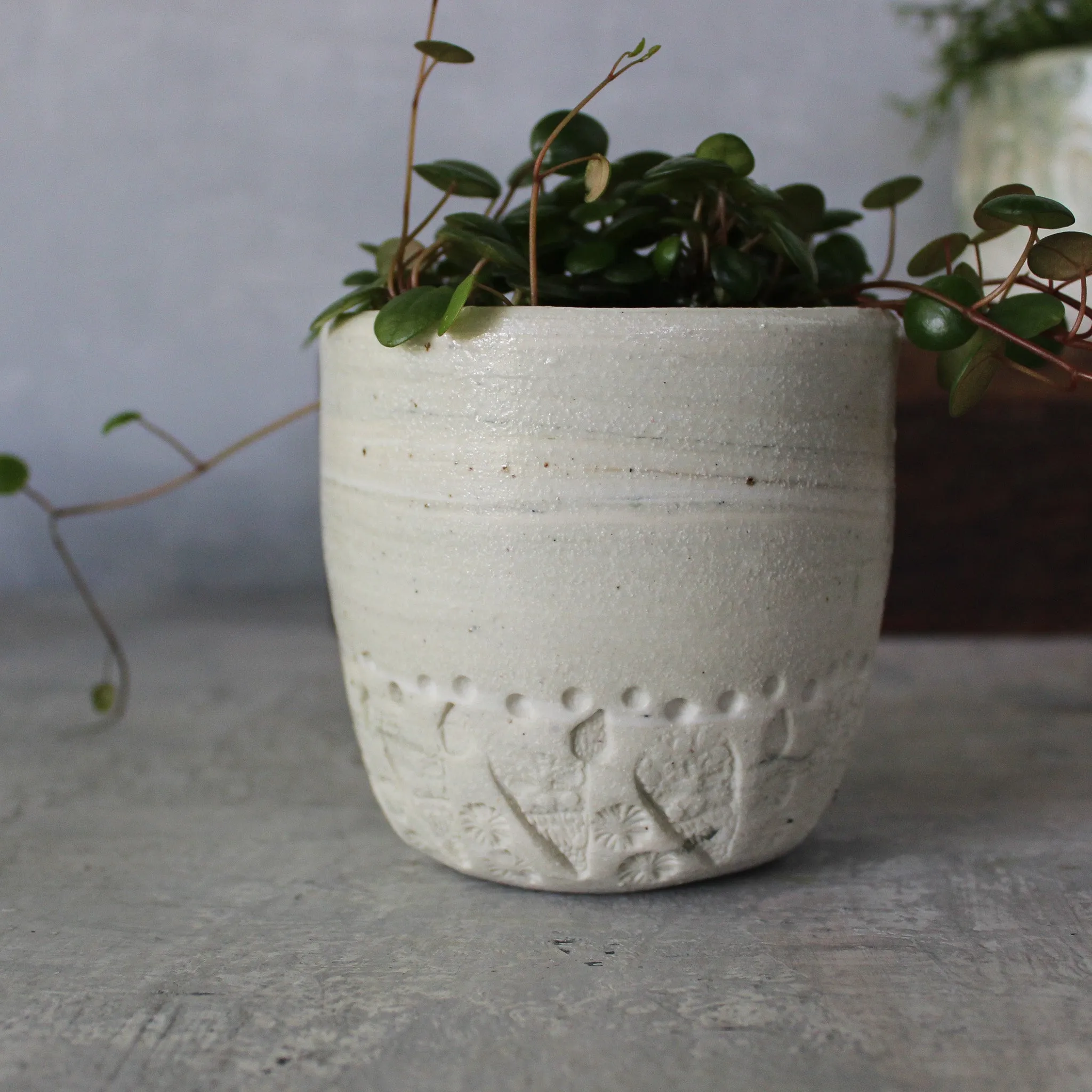 Ceramic Planters Marbled