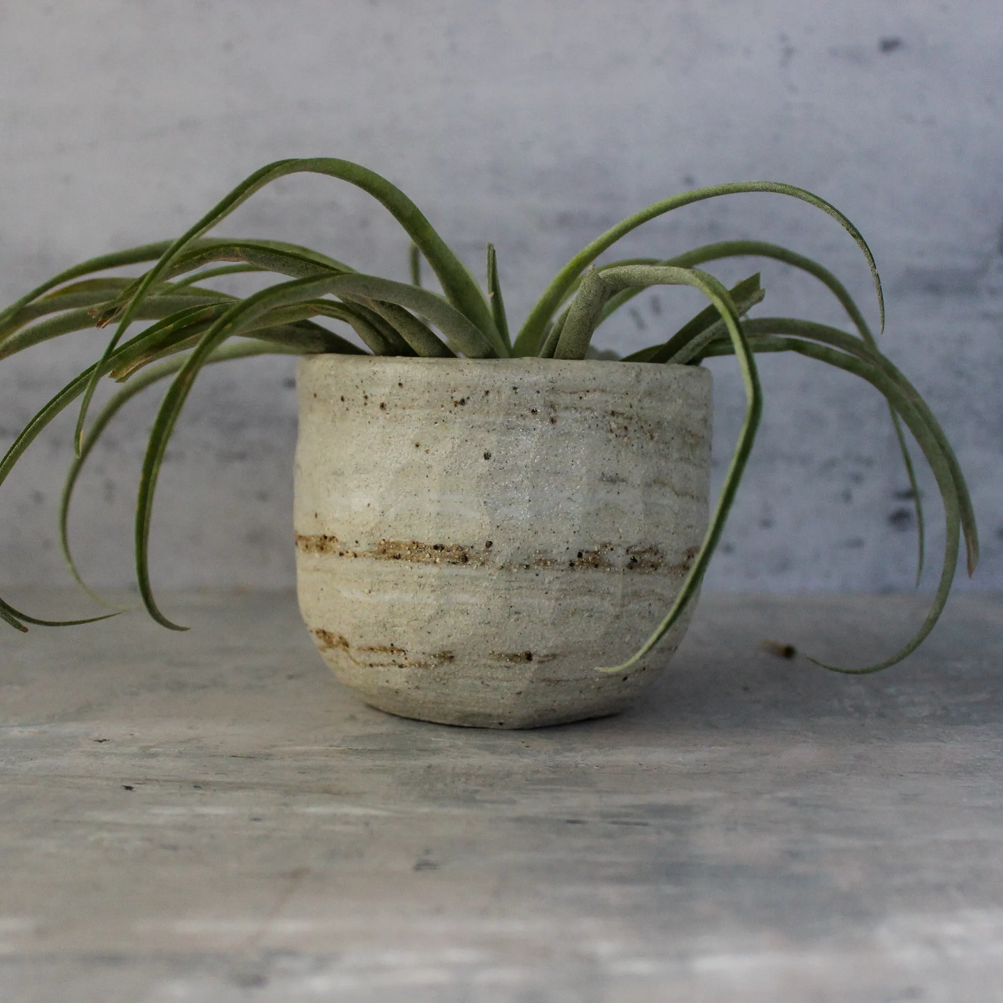 Ceramic Planters Marbled