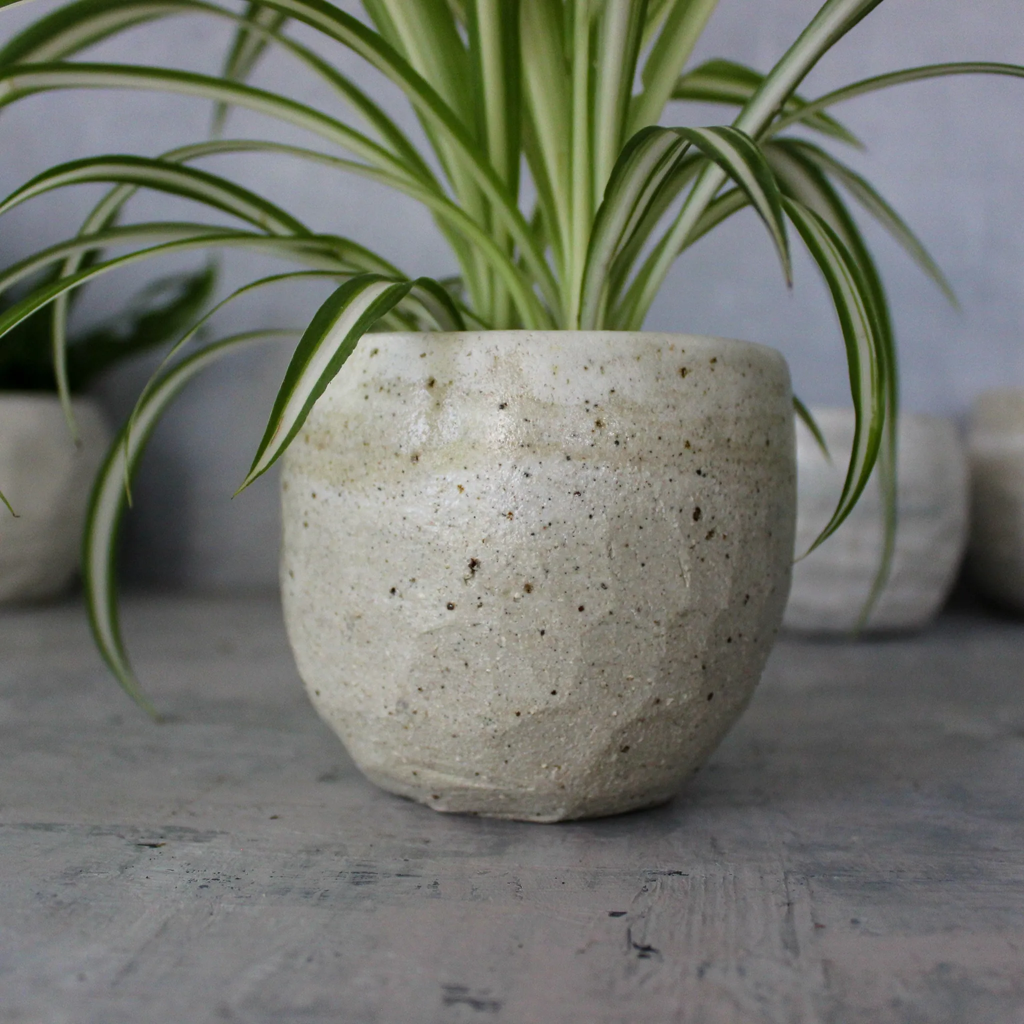 Ceramic Planters Marbled