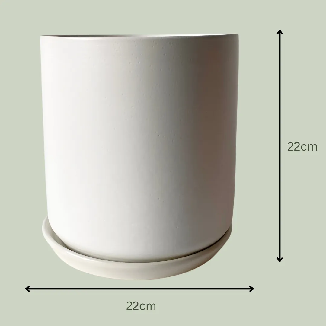 Ceramic Pot | White | 22cm