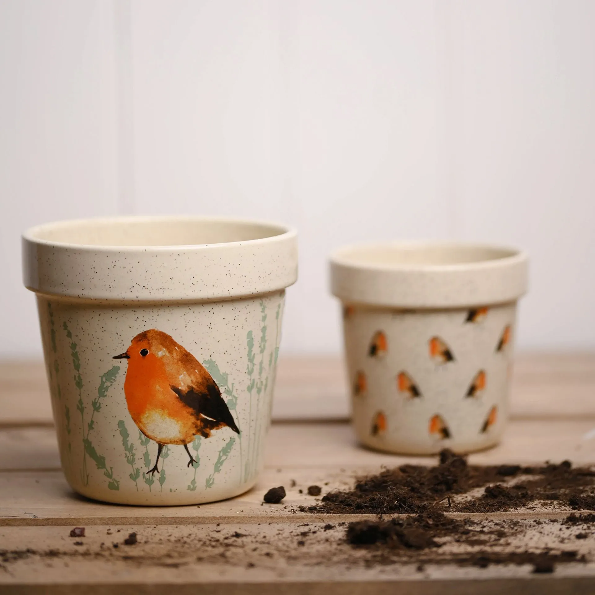 Country Living Set Of 2 Planters Robin