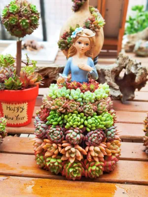 Creative Succulent Princess Flower Skirt Flower Holder  Gardening Ornaments Home Decor Gifts - Plant Not Incloud