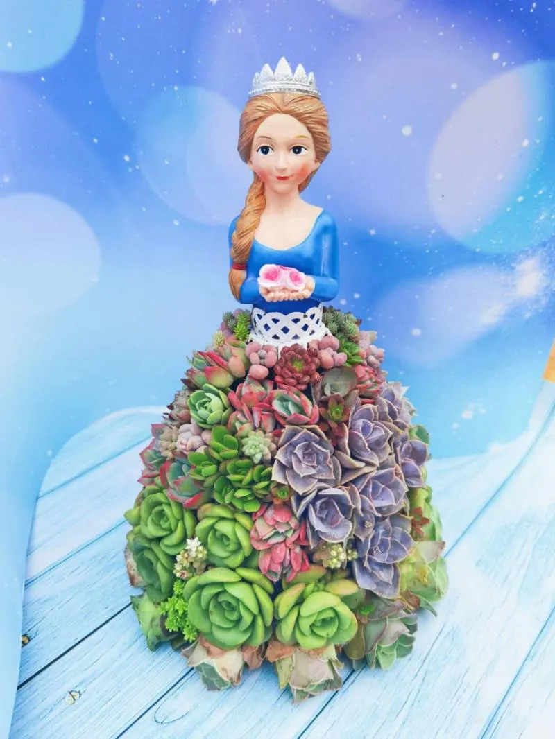 Creative Succulent Princess Flower Skirt Flower Holder  Gardening Ornaments Home Decor Gifts - Plant Not Incloud