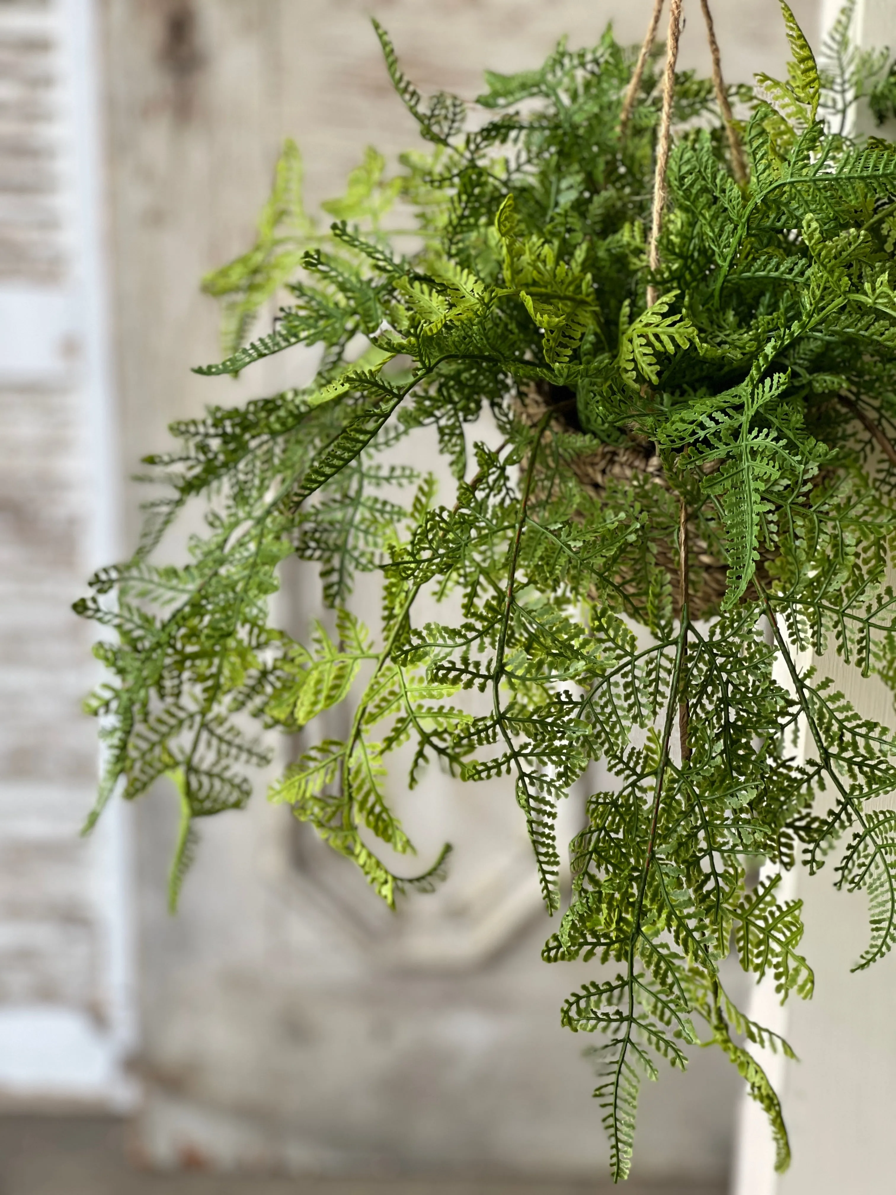 Creel Fern Hanging Basket | Lace | 18" | NOT CURRENTLY IN STOCK-New For Spring 2025!