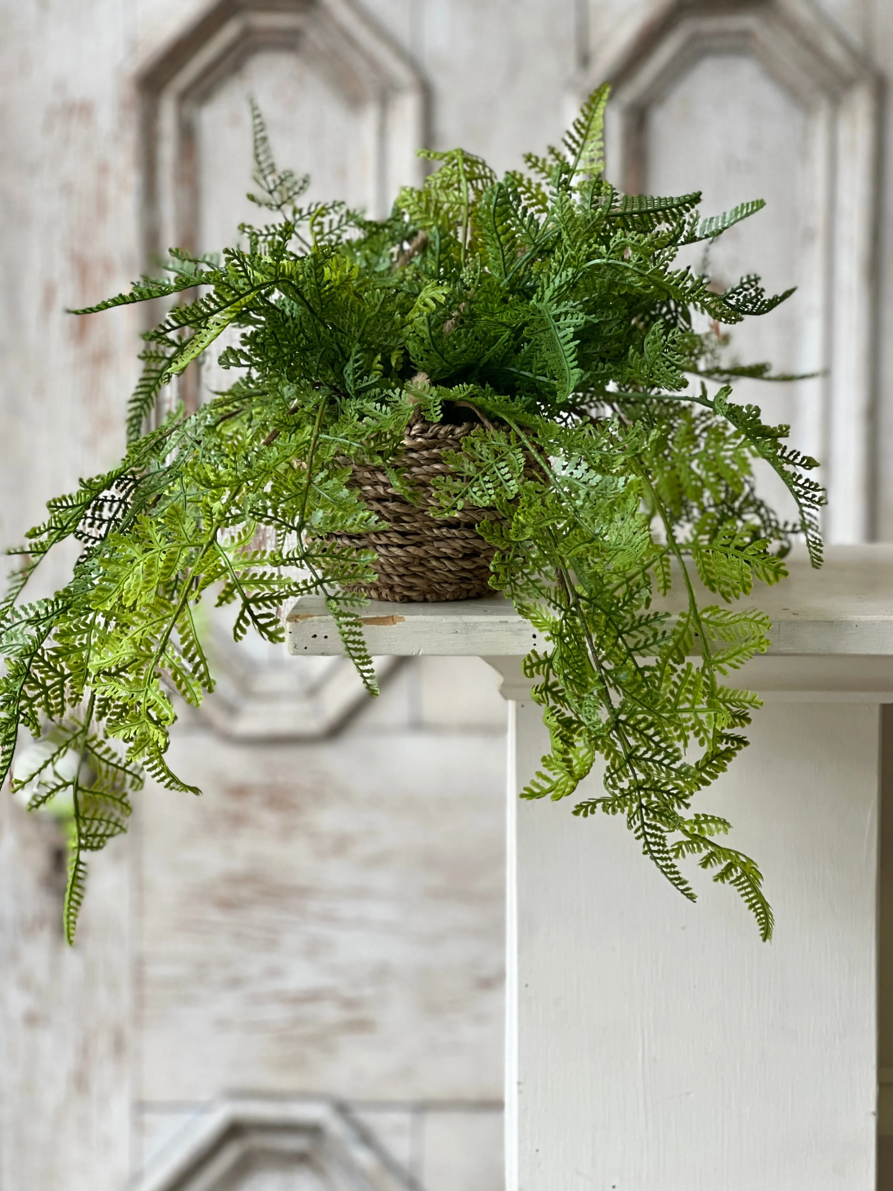 Creel Fern Hanging Basket | Lace | 18" | NOT CURRENTLY IN STOCK-New For Spring 2025!