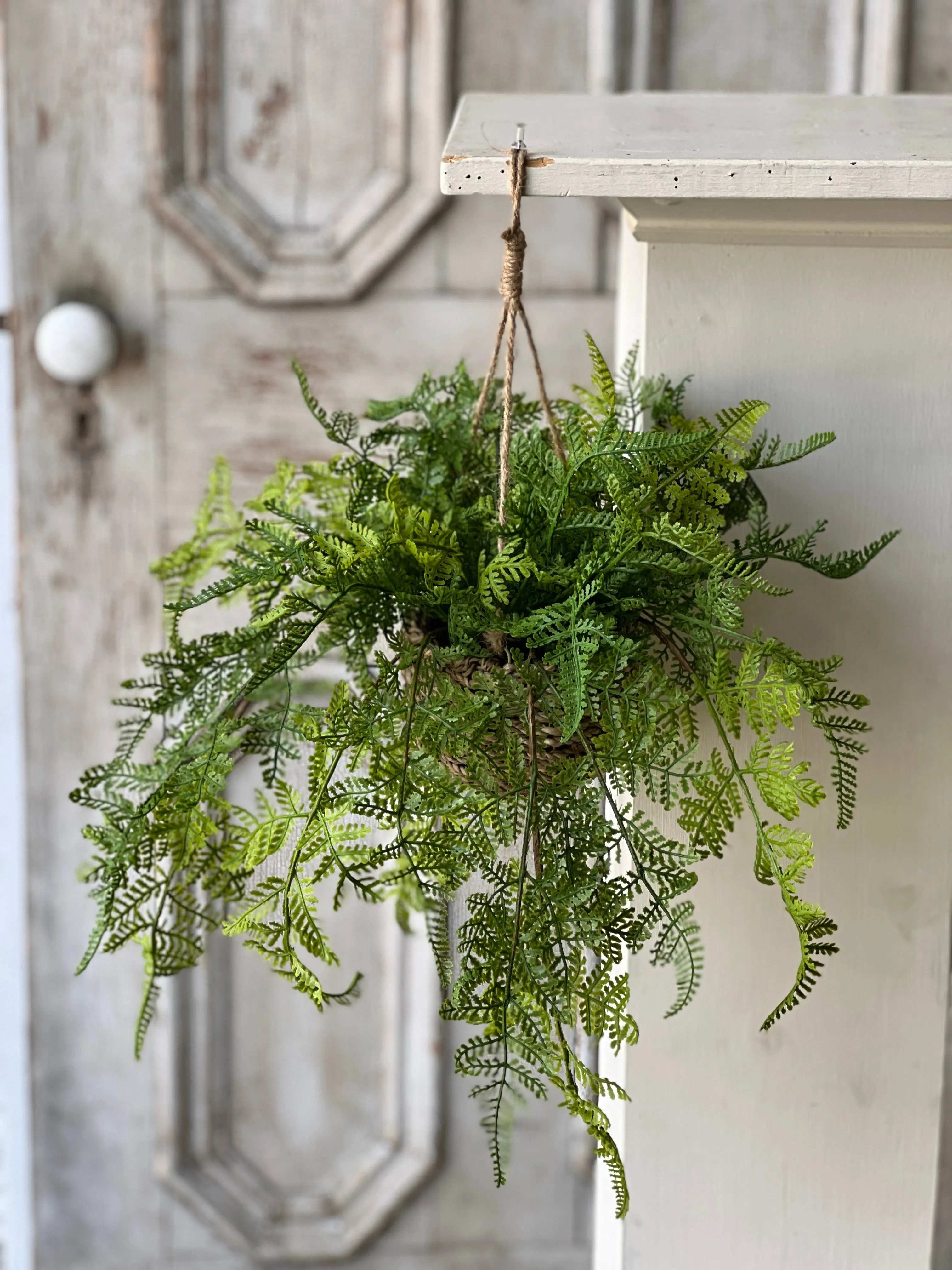 Creel Fern Hanging Basket | Lace | 18" | NOT CURRENTLY IN STOCK-New For Spring 2025!