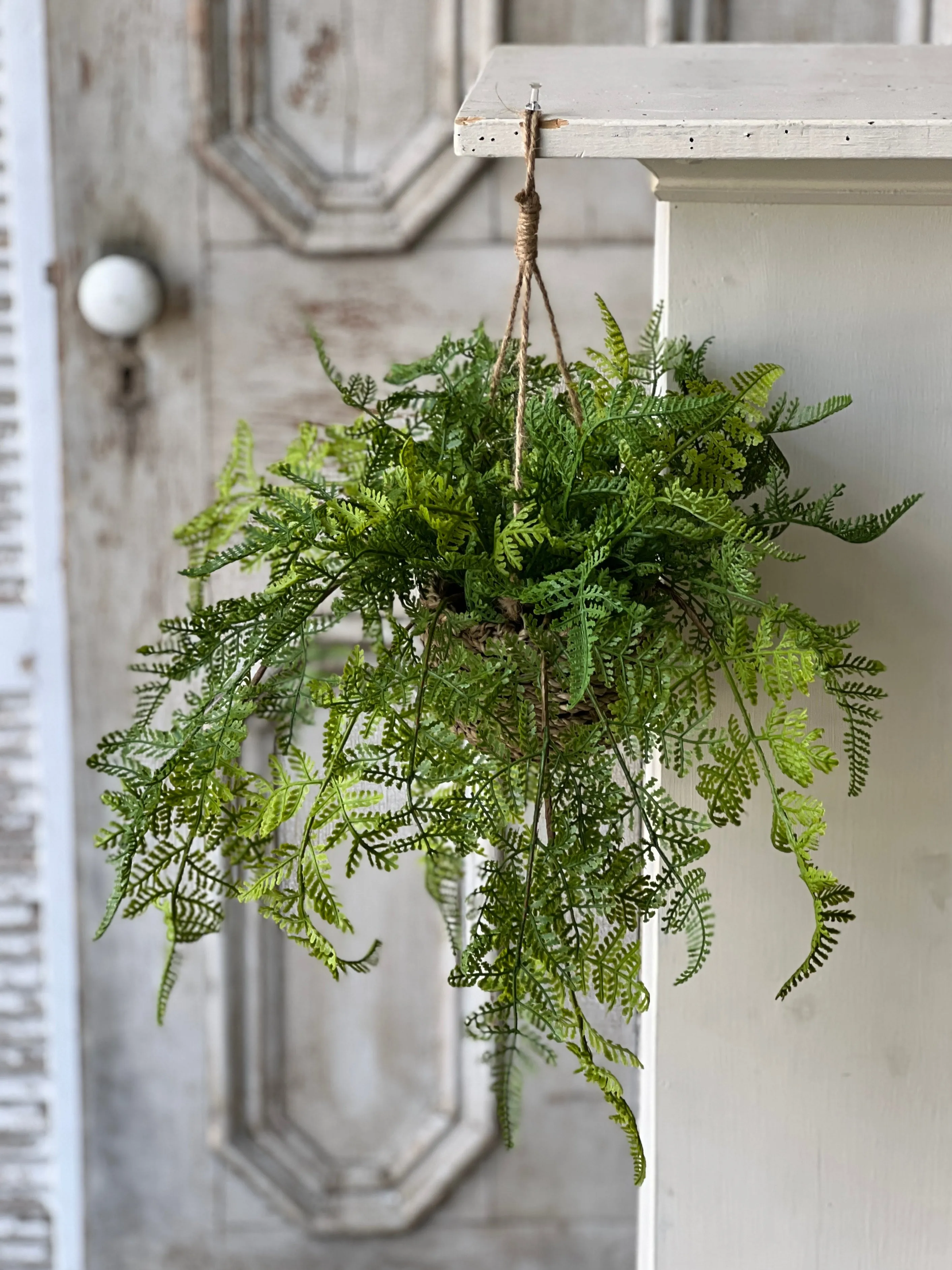 Creel Fern Hanging Basket | Lace | 18" | NOT CURRENTLY IN STOCK-New For Spring 2025!