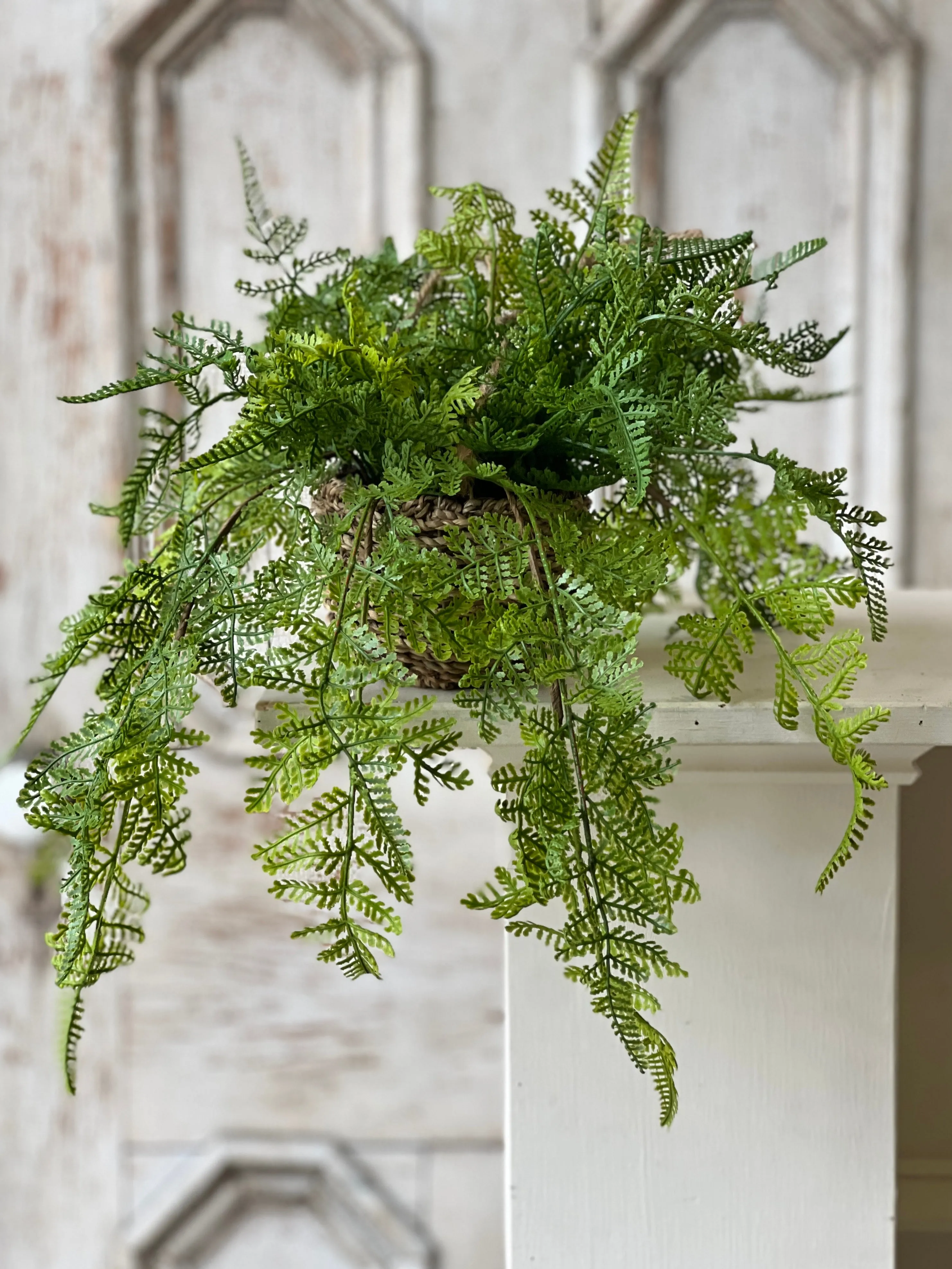 Creel Fern Hanging Basket | Lace | 18" | NOT CURRENTLY IN STOCK-New For Spring 2025!