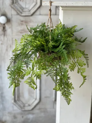 Creel Fern Hanging Basket | Lace | 18" | NOT CURRENTLY IN STOCK-New For Spring 2025!