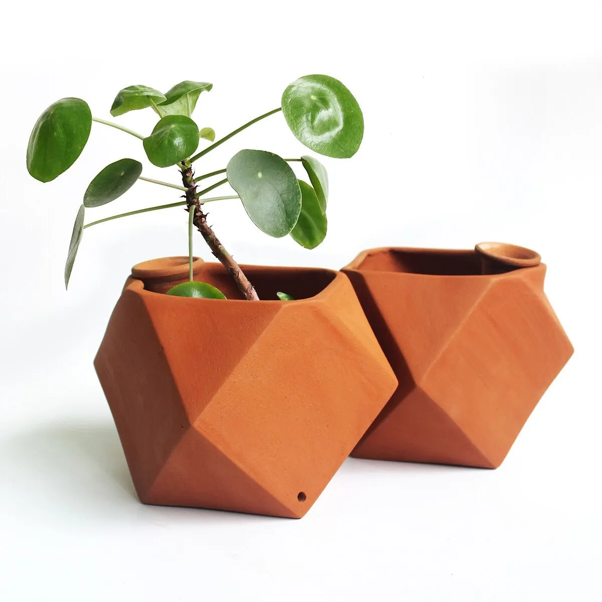 D'MOND-1 Terracotta Planter with Deep Root Watering System- Set of 2