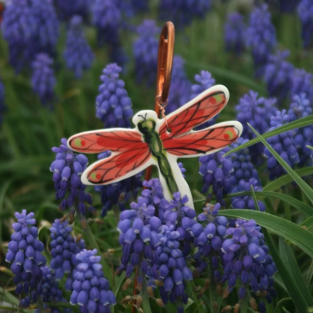 Dragonfly Plant Pic (options)