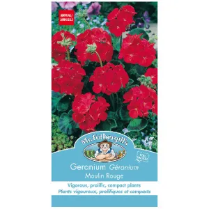 Geranium Seed - Seed Packets