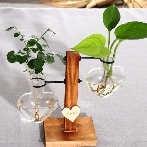 Glass and Wood Vase Planter Terrarium Table Desktop Hydroponics Plant