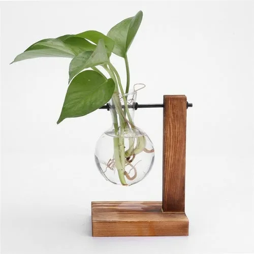 Glass and Wood Vase Planter Terrarium Table Desktop Hydroponics Plant