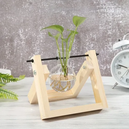 Glass and Wood Vase Planter Terrarium Table Desktop Hydroponics Plant