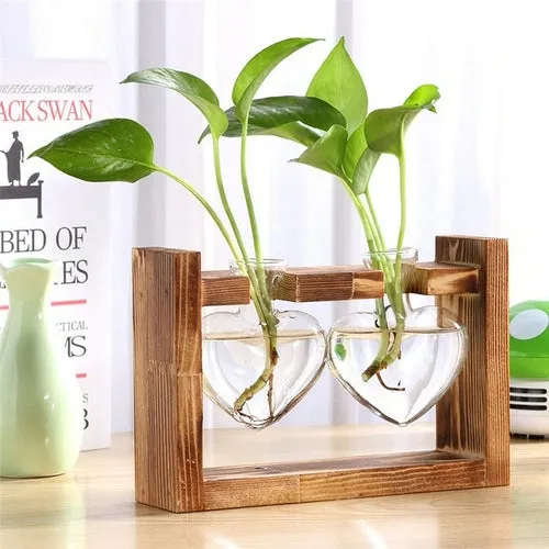 Glass and Wood Vase Planter Terrarium Table Desktop Hydroponics Plant