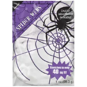 Halloween Spider Web Decor with Spider