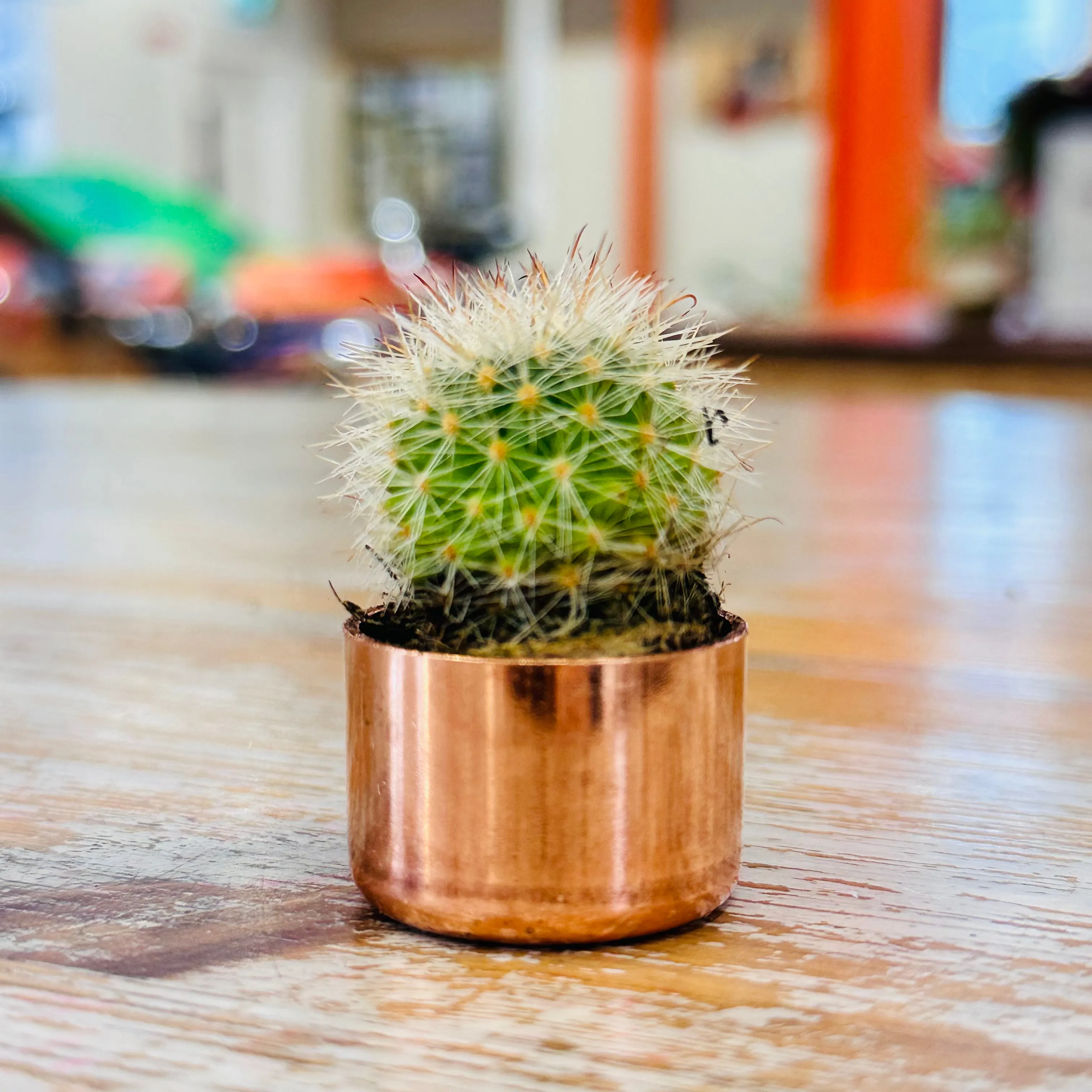 Kopper Kreations Baby Copper Planter