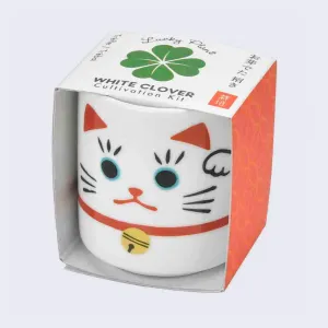 Lucky Plant - Beckoning Cat (White Clover)