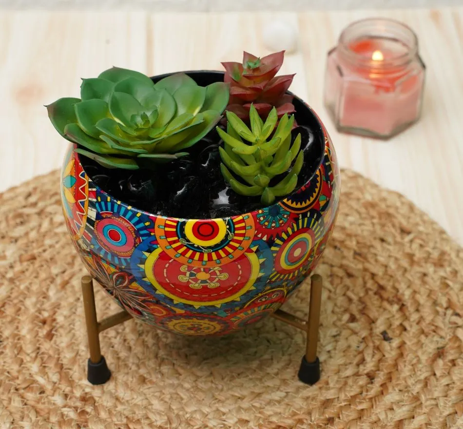 Metal Planters For Living Room | Black Carnival