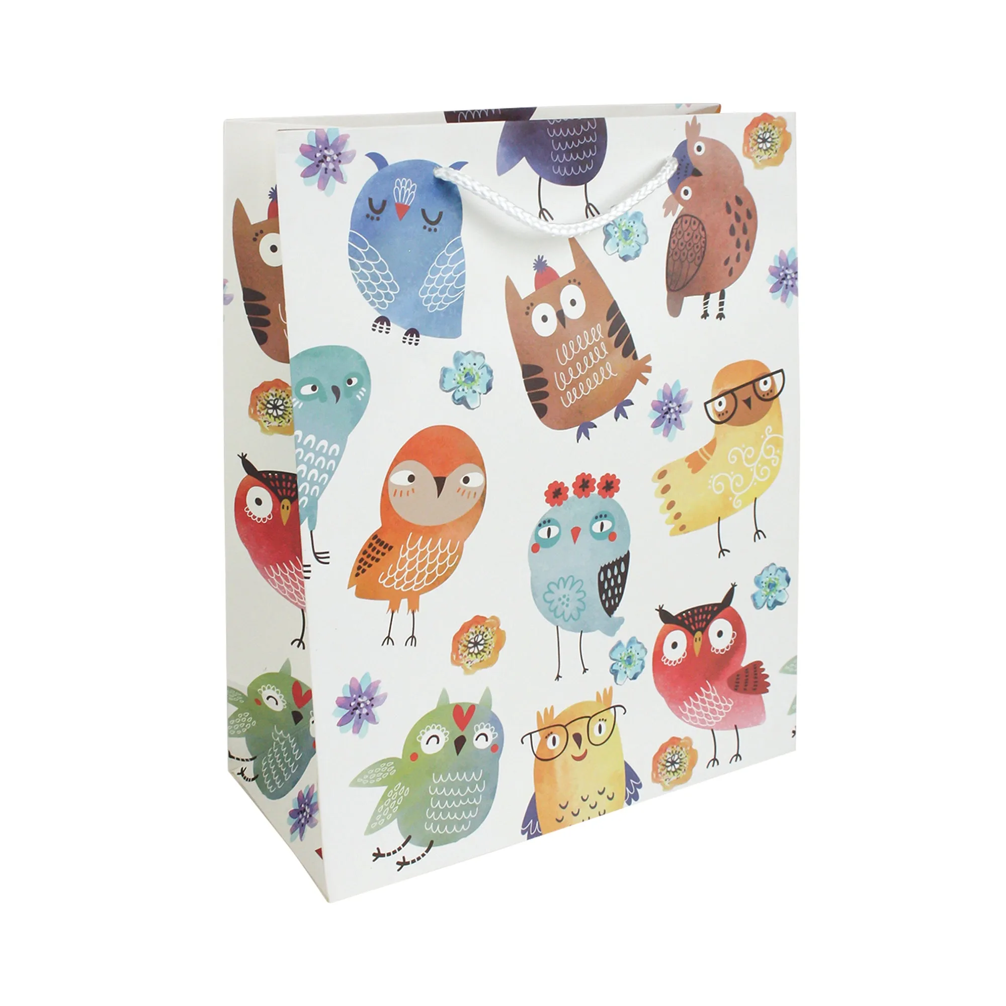 Multicoloured Owls Gift Bags - Set Of 4 Assorted Designs