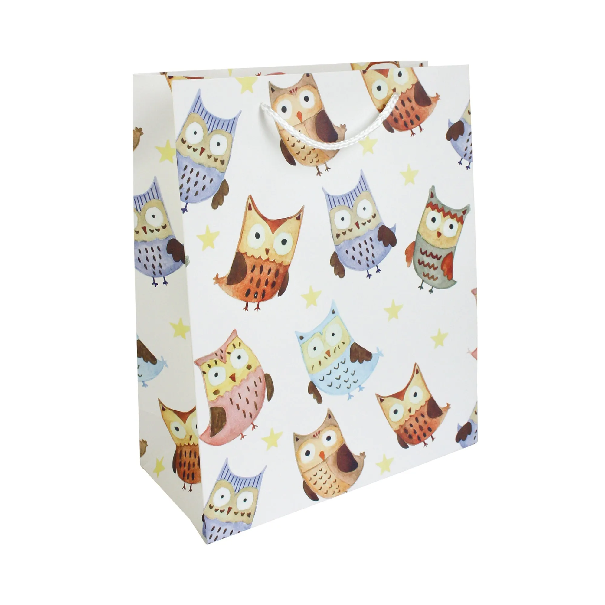 Multicoloured Owls Gift Bags - Set Of 4 Assorted Designs