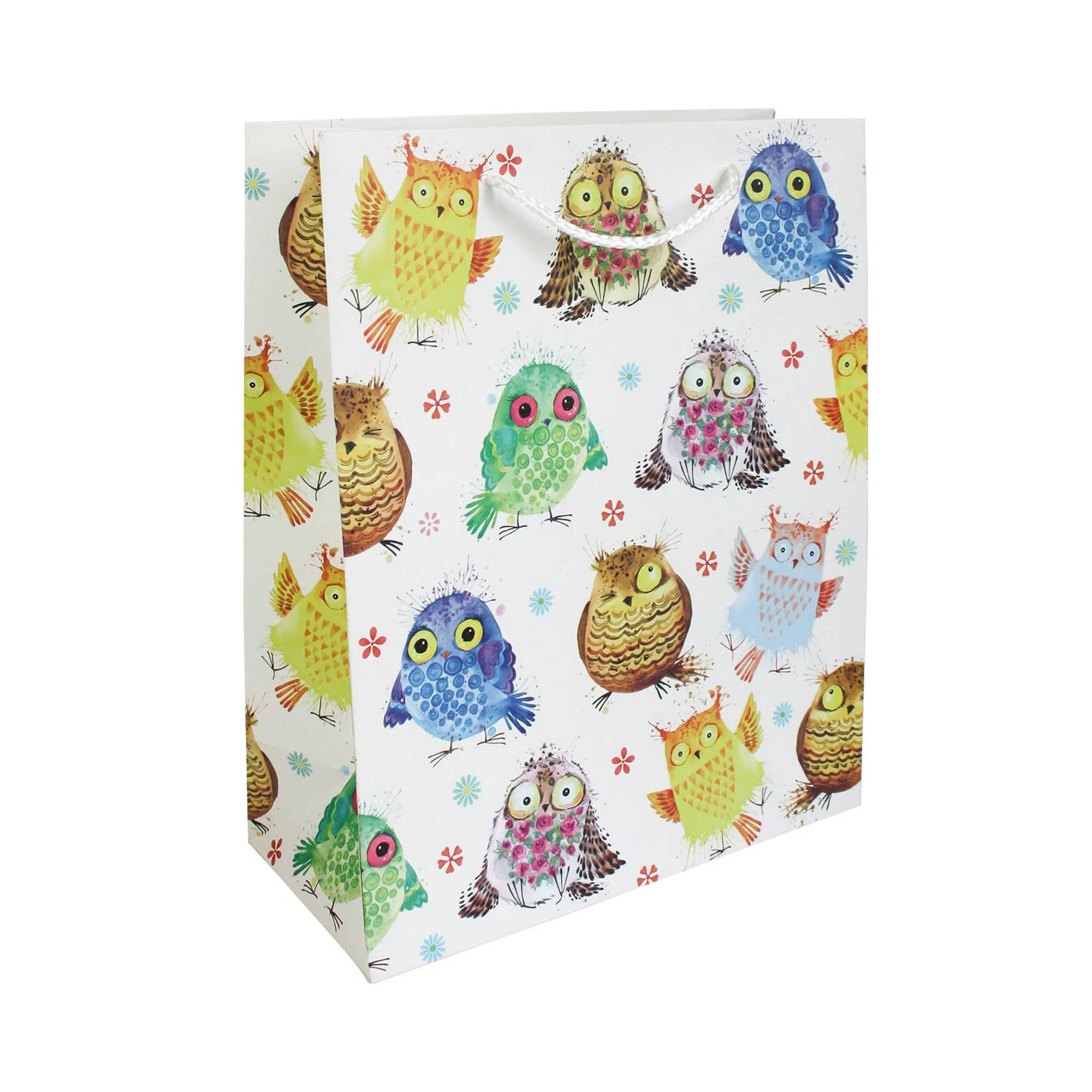 Multicoloured Owls Gift Bags - Set Of 4 Assorted Designs