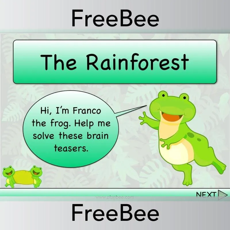 Rainforest Brain Teasers