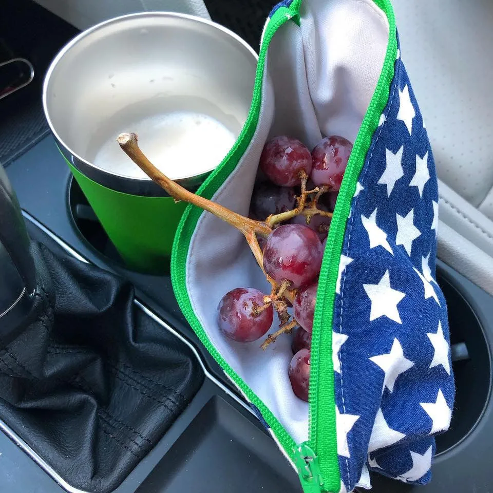 Snack Sized Reusable Zippered Bag Nautical Flags