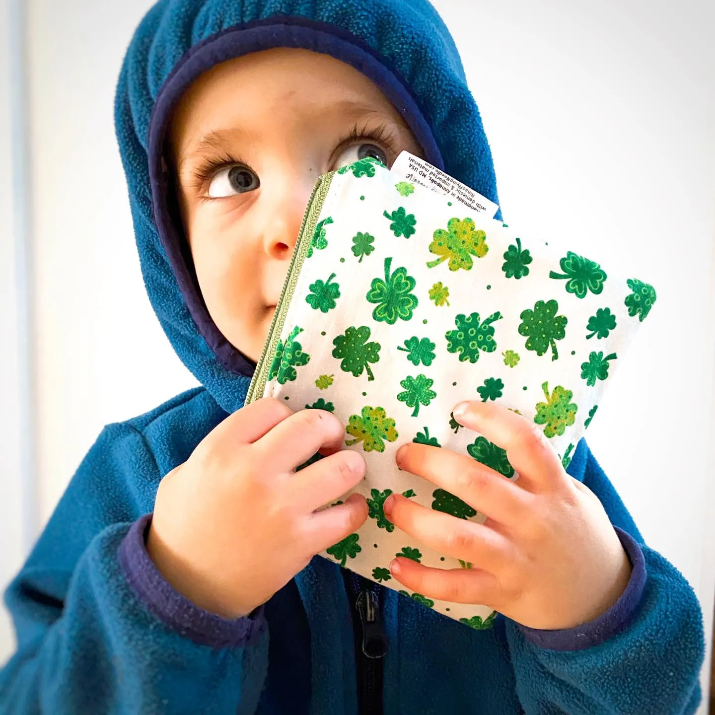 Toddler Sized Reusable Zippered Bag Forest Friends