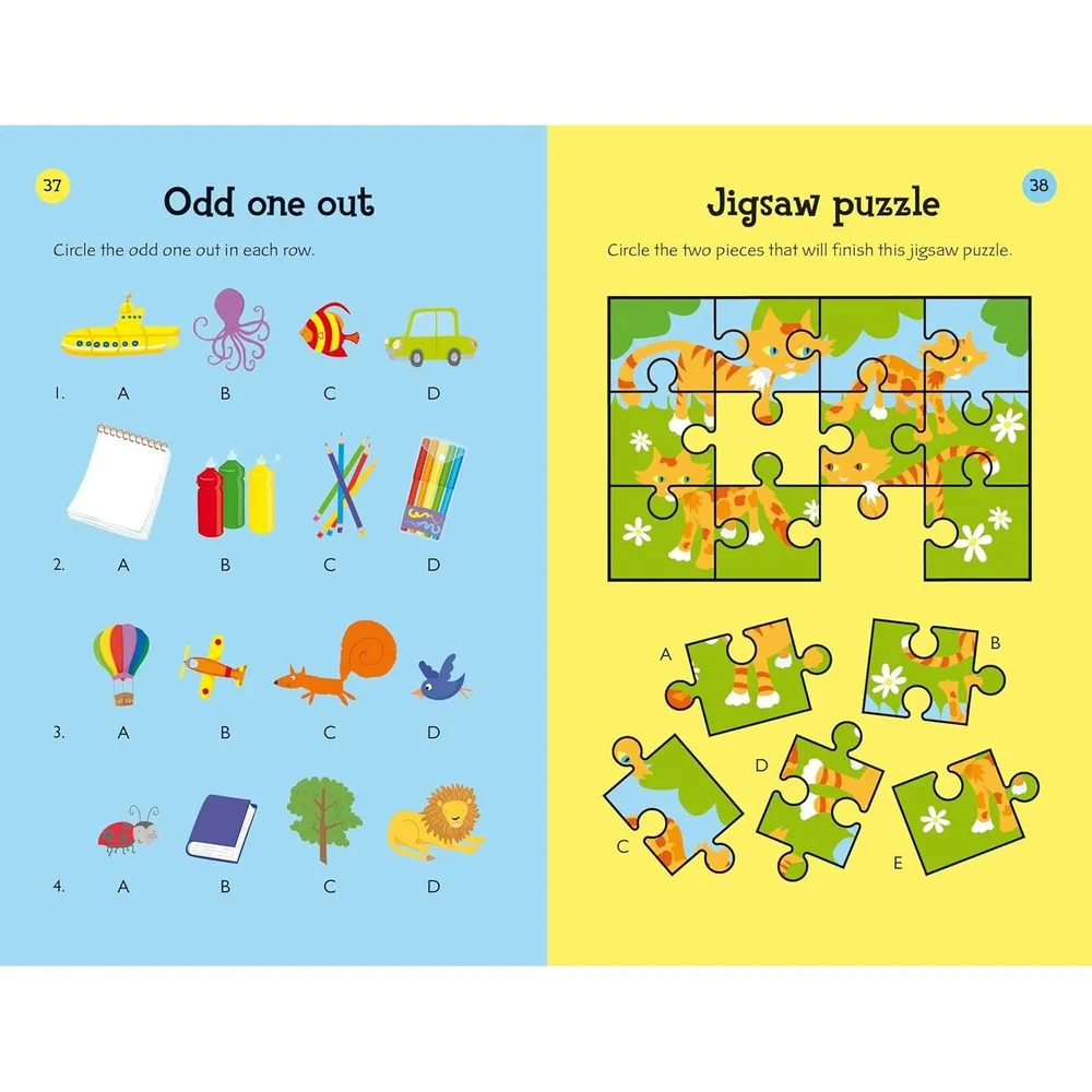 Usborne Over 80 brain puzzles