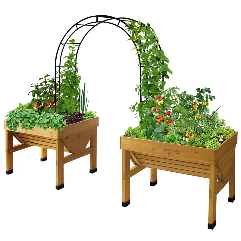 Vegtrug Climbing Arch