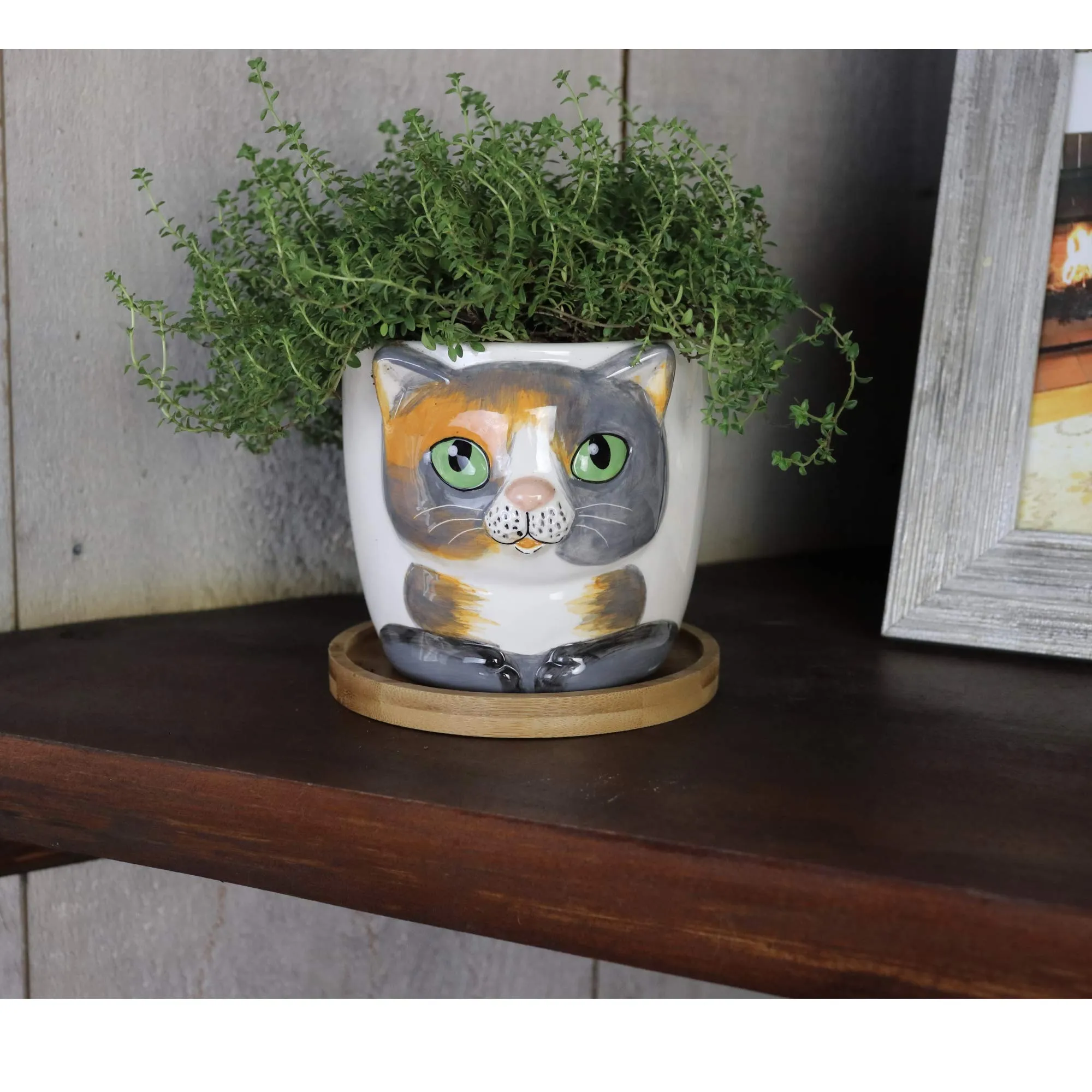 Window Garden Animal Planters - Large Kitty Pot (Barney) Purrfect for Indoor Live House