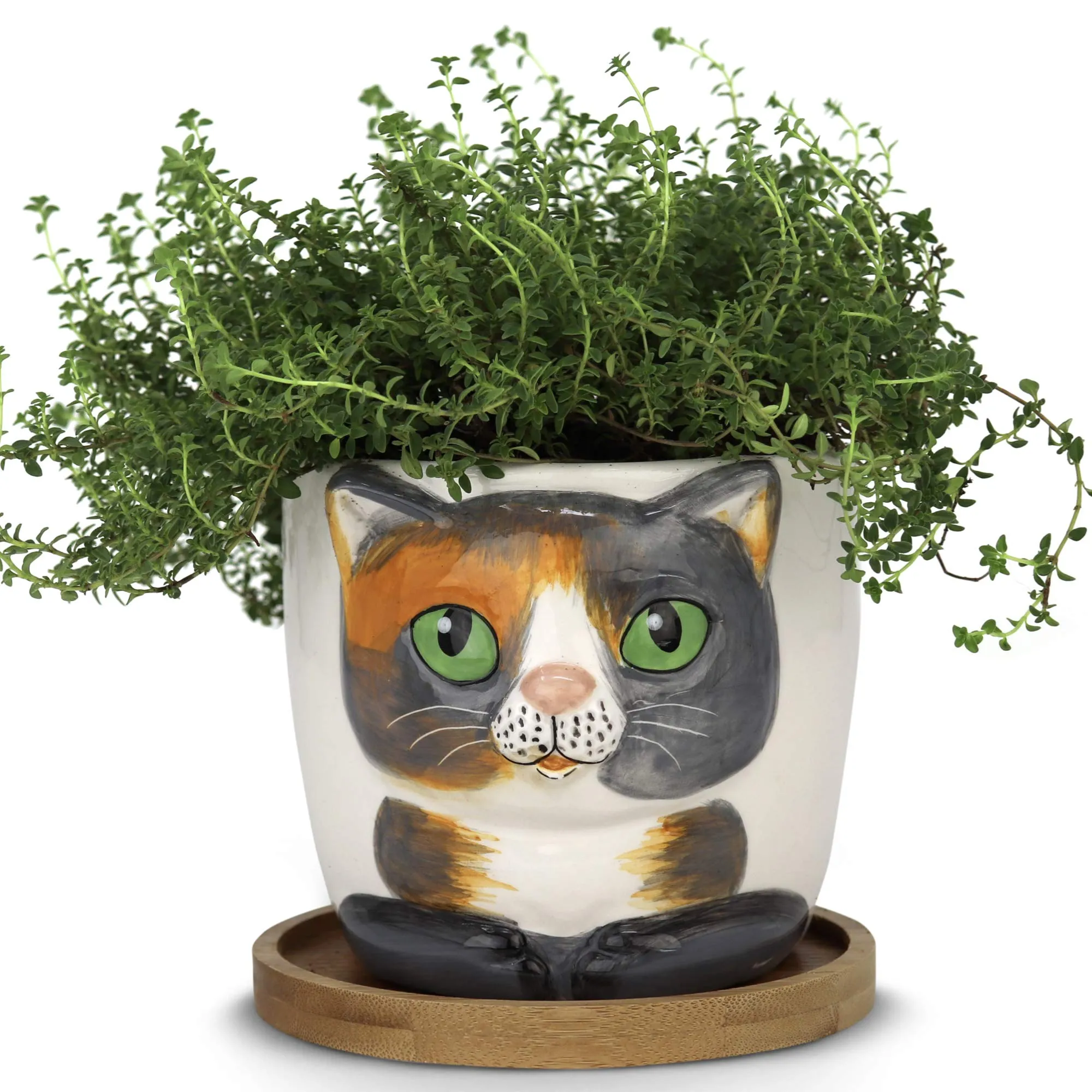 Window Garden Animal Planters - Large Kitty Pot (Barney) Purrfect for Indoor Live House