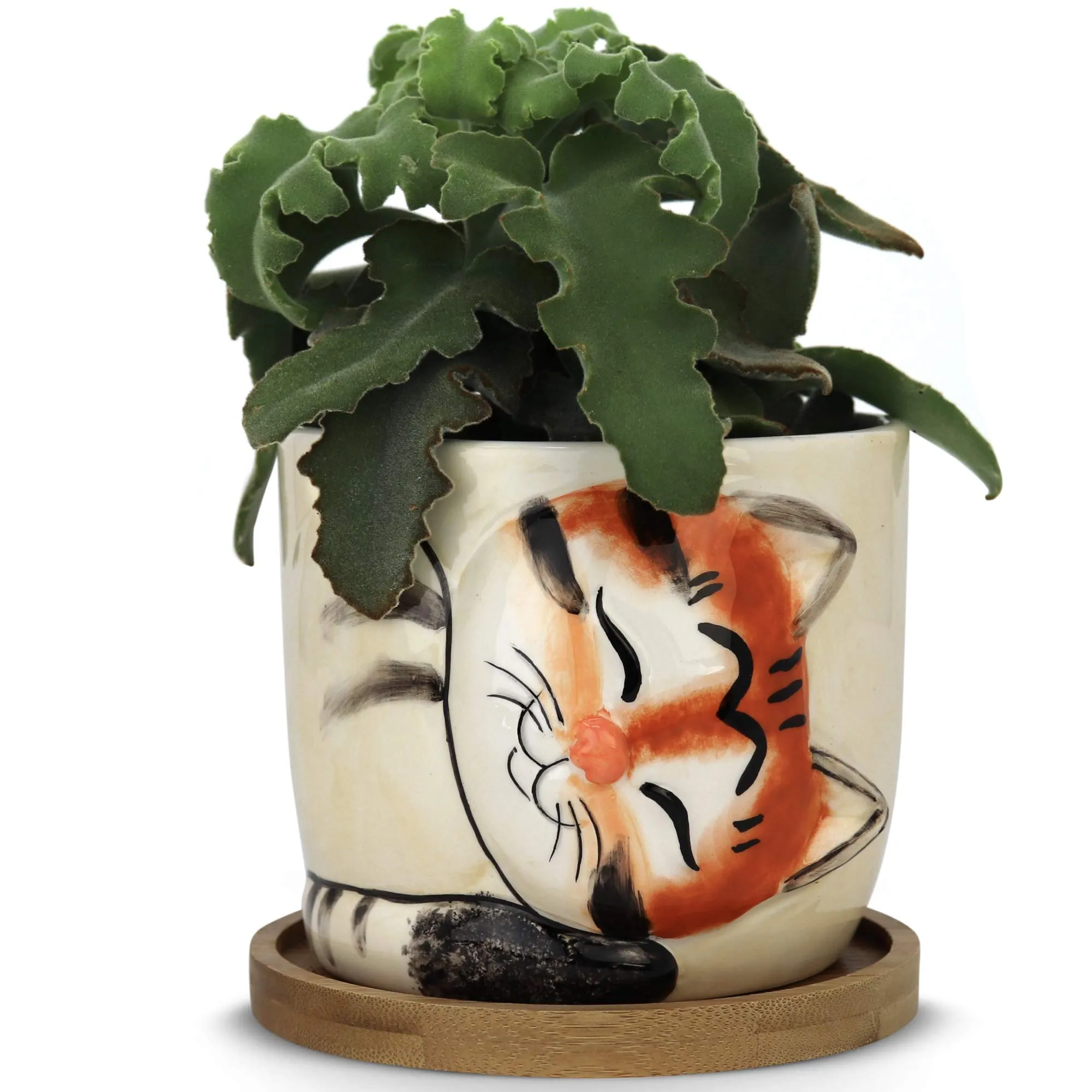 Window Garden Animal Planters - Large Kitty Pot (Tigger) Purrfect for Indoor Live House