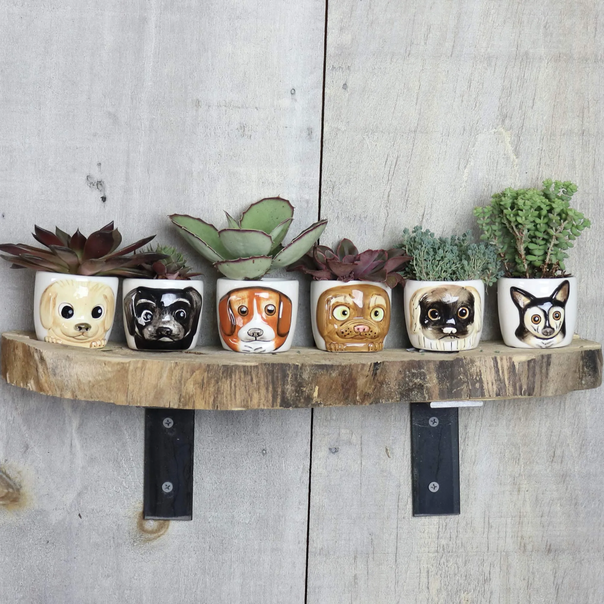 Window Garden Dog Planters Set of 6 - 3D Cute Animal Plant Pot for Succulents, Flowers