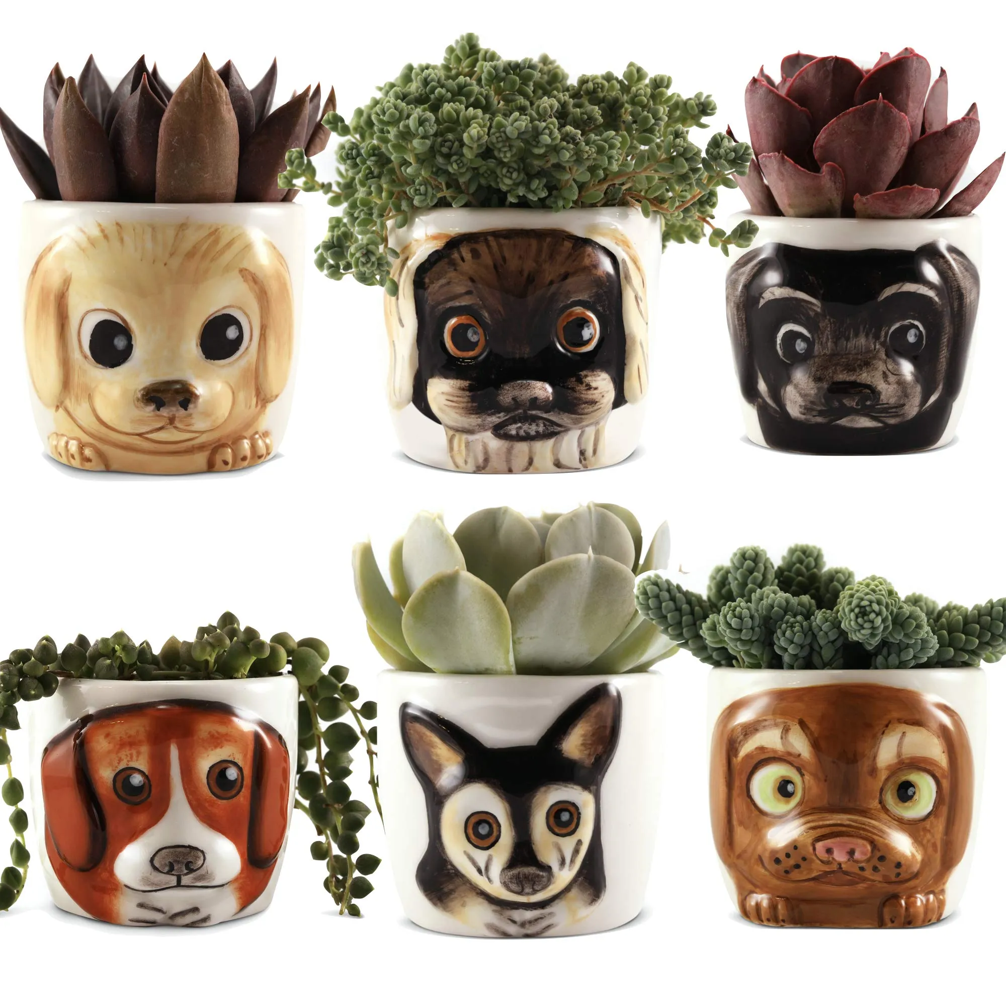 Window Garden Dog Planters Set of 6 - 3D Cute Animal Plant Pot for Succulents, Flowers